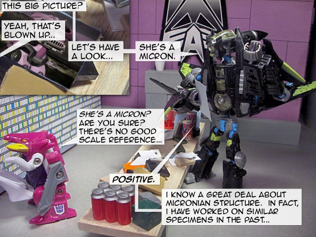 Comic - Click for Text Version